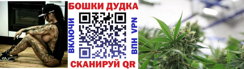 Какие есть наркотики Борзя Бошки Шишки СК KRAKEN ссылки МЕФ