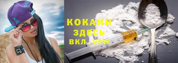 шишки Арсеньев