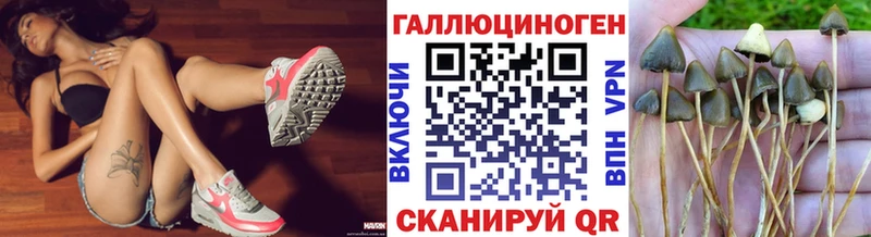 Псилоцибиновые грибы ЛСД  даркнет сайт  Борзя 