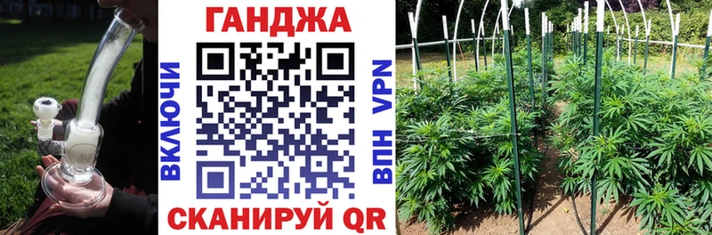 где можно купить   Борзя  Конопля LSD WEED 